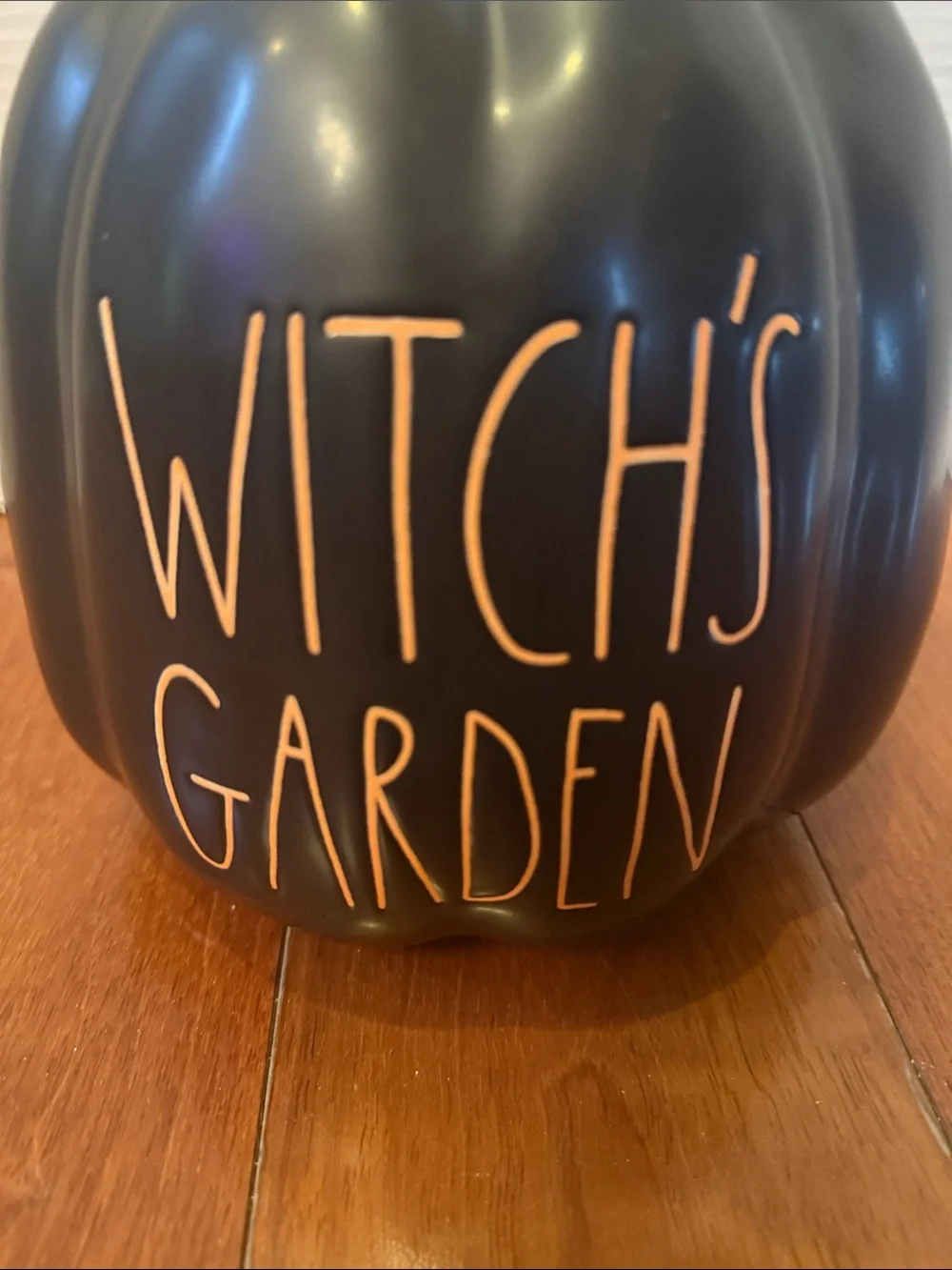 Rae Dunn Magenta Witch's Garden Black Pumpkin Halloween Planter